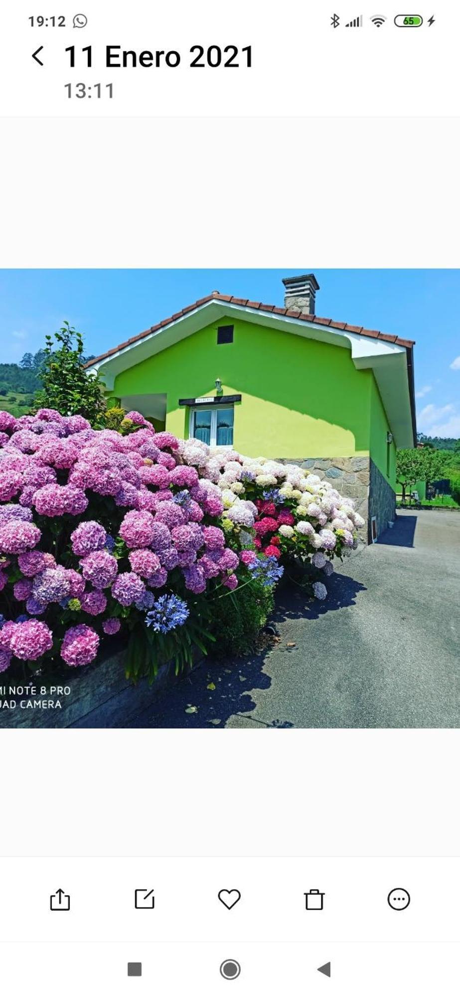 Casina Verde Manzana Villaviciosa  Eksteriør bilde